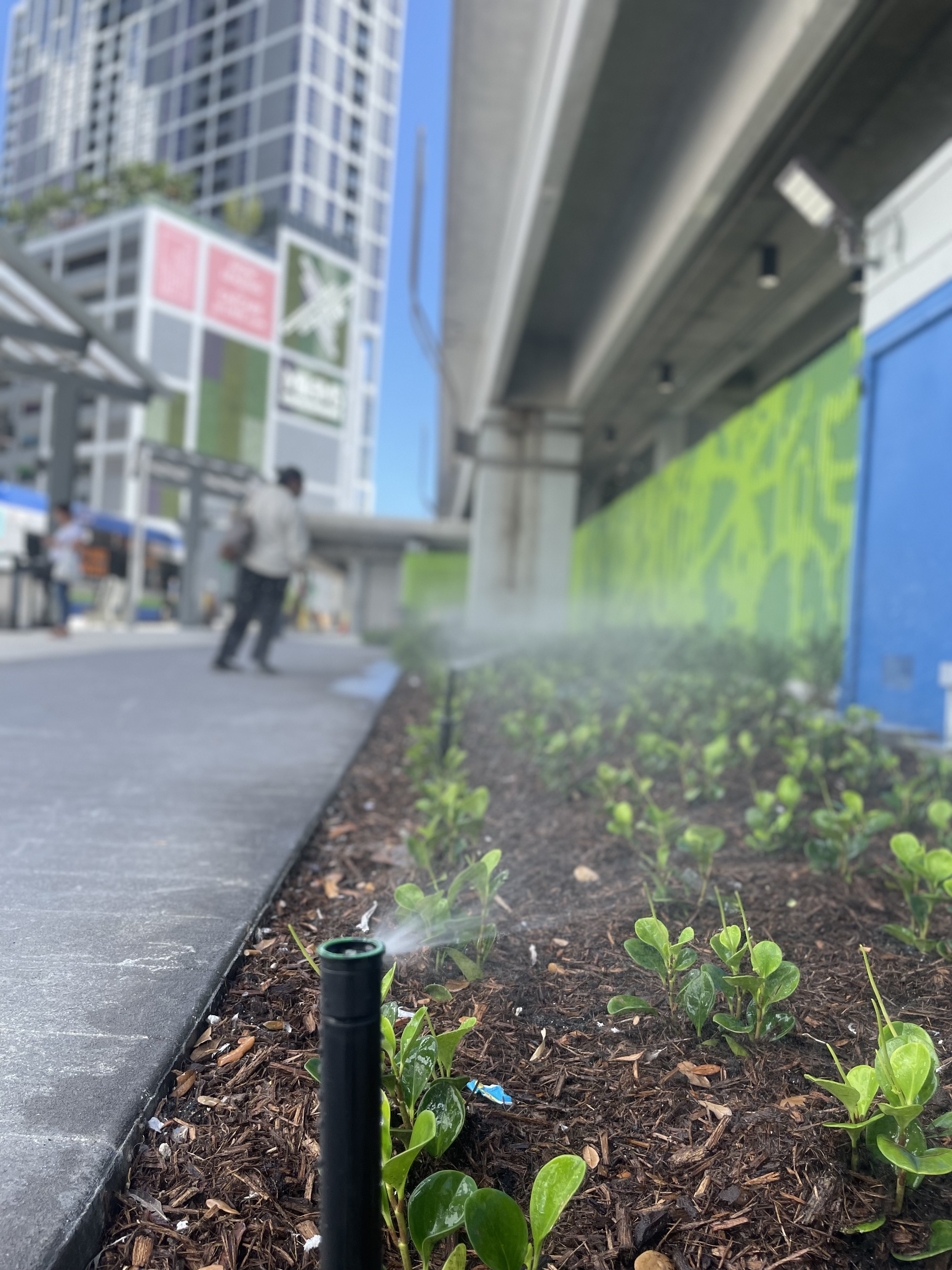 Lawn irrigation and sprinkler coverage